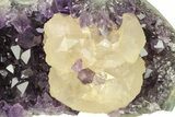 Sparkling Purple Amethyst Crystal Cluster - Uruguay #276234-1